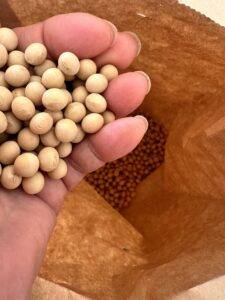 北海道産の素晴らしい大豆