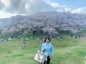 横浜　根岸森林公園の桜